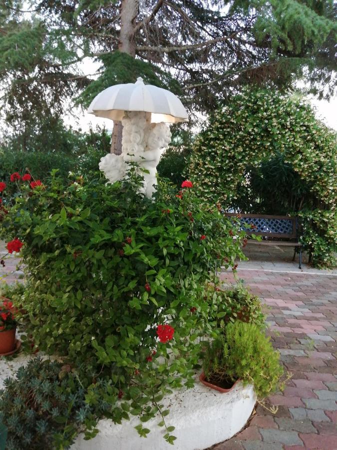 Villa Dei Romanzi 托尔托雷托 外观 照片